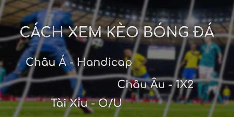 Các loại hình đặt cược kèo đá banh nhà cái hấp dẫn